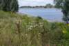 doornenburg_0029_small.jpg