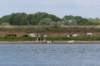 doornenburg_0031_small.jpg