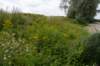 doornenburg_0035_small.jpg