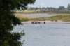 doornenburg_0038_small.jpg