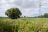 doornenburg_0039_small.jpg