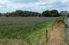 doornenburg_0043_small.jpg
