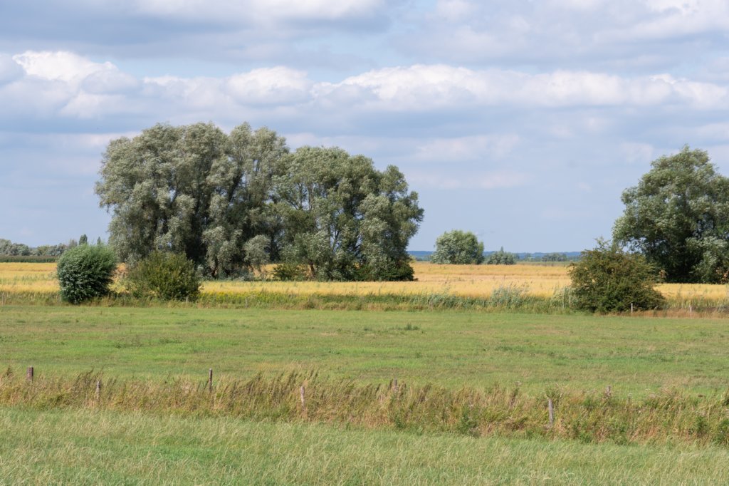 doornenburg_0045.jpg