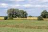 doornenburg_0045_small.jpg
