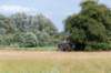 doornenburg_0054_small.jpg