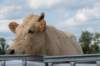 doornenburg_0060_small.jpg