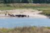 doornenburg_0080_small.jpg