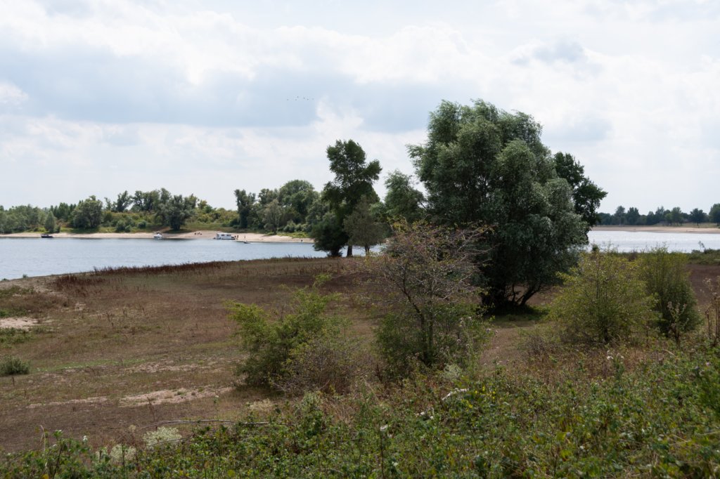 doornenburg_0082.jpg