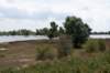 doornenburg_0082_small.jpg