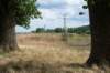 doornenburg_0085_small.jpg