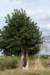 doornenburg_0090_small.jpg