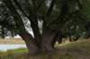 doornenburg_0096_small.jpg