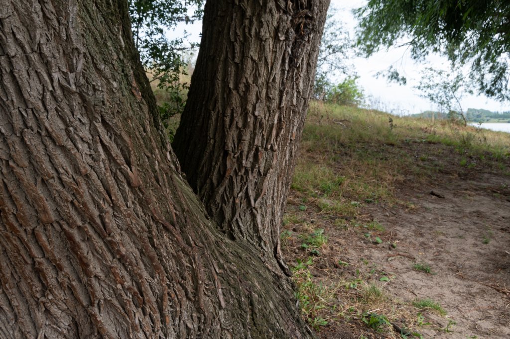 doornenburg_0098.jpg
