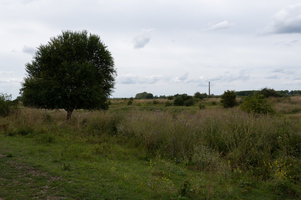 doornenburg_0101.jpg