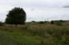 doornenburg_0101_small.jpg