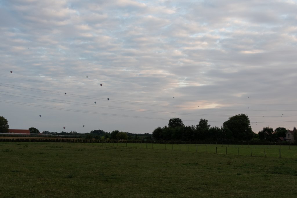 doornenburg_0106.jpg