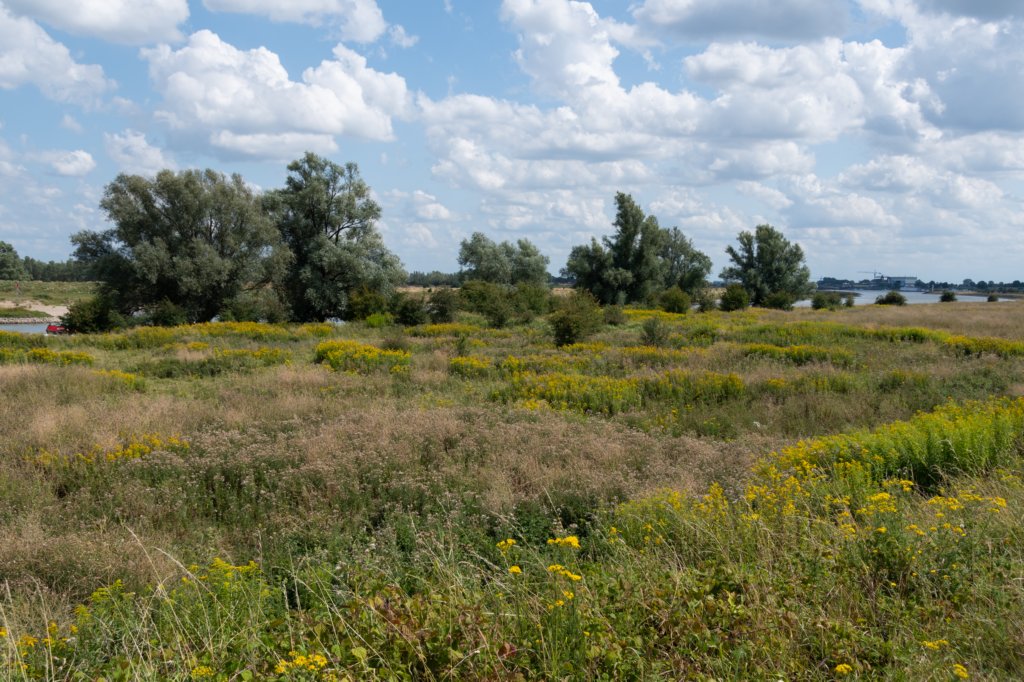 doornenburg_0109.jpg