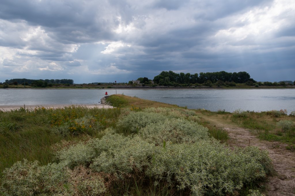 doornenburg_0122.jpg