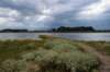 doornenburg_0122_small.jpg