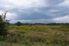 doornenburg_0126_small.jpg