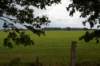 doornenburg_0132_small.jpg