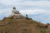 doornenburg_0134_small.jpg