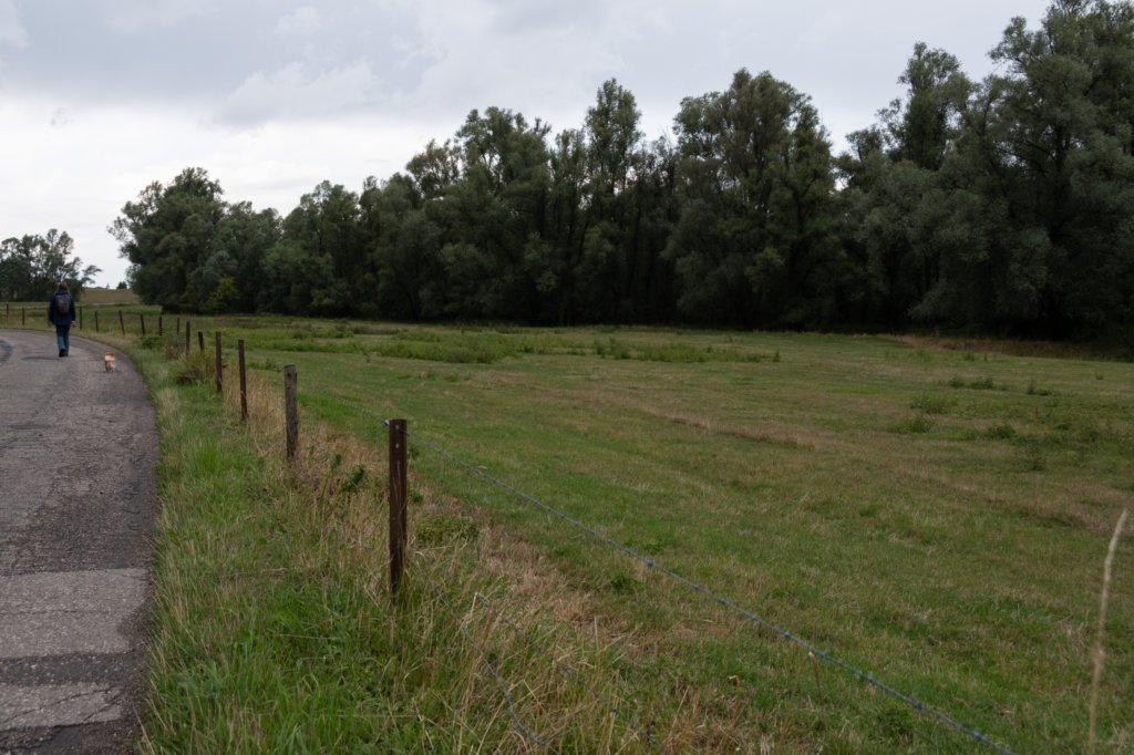 doornenburg_0145.jpg