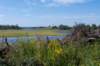 doornenburg_0150_small.jpg