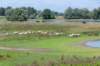 doornenburg_0152_small.jpg