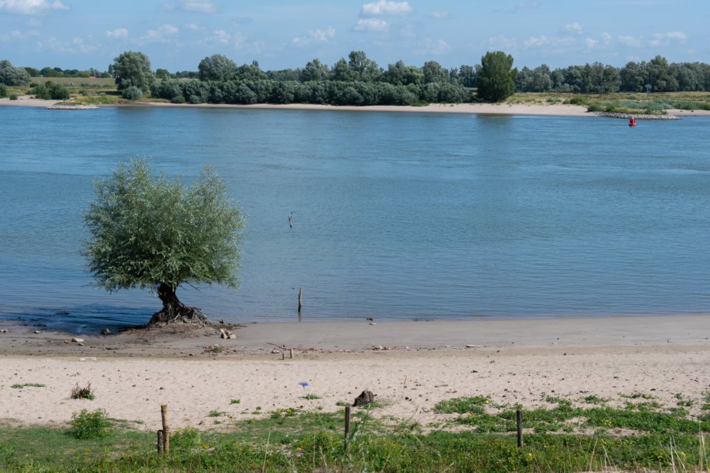 doornenburg_0156.jpg