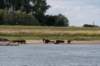 doornenburg_0165_small.jpg