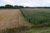 doornenburg_0174_small.jpg
