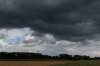 doornenburg_0175_small.jpg