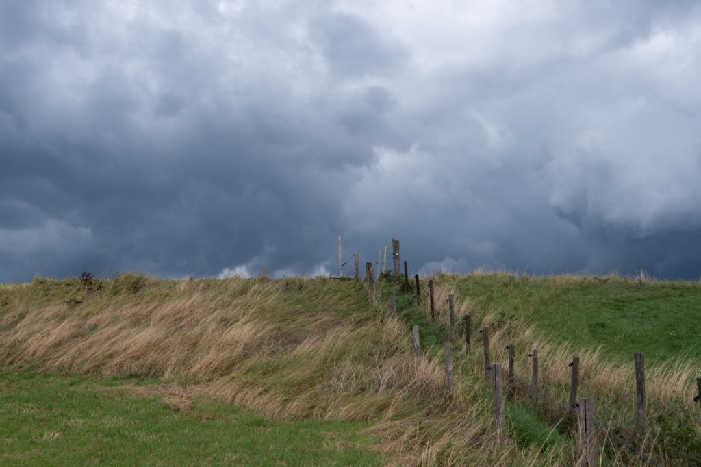 doornenburg_0177.jpg