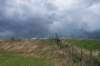 doornenburg_0177_small.jpg