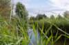 doornenburg_0181_small.jpg