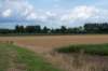 doornenburg_0184_small.jpg