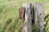 doornenburg_0186_small.jpg