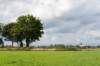 doornenburg_0187_small.jpg