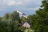 doornenburg_0191_small.jpg