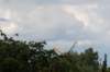 doornenburg_0192_small.jpg