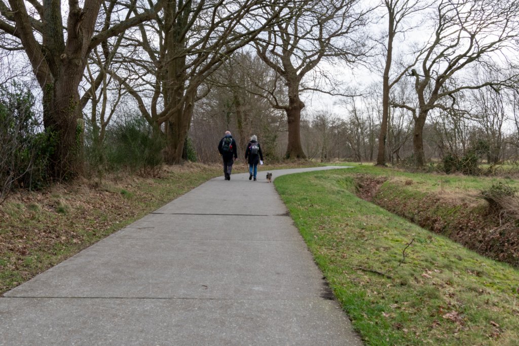 drentscheaa_001.jpg