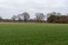 drentscheaa_002_small.jpg