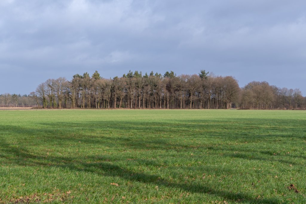 drentscheaa_003.jpg