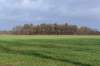 drentscheaa_003_small.jpg
