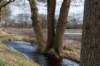 drentscheaa_006_small.jpg