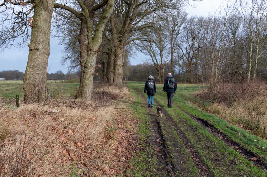 drentscheaa_007.jpg