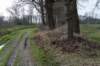 drentscheaa_008_small.jpg