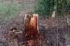 drentscheaa_009_small.jpg