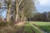 drentscheaa_010_small.jpg